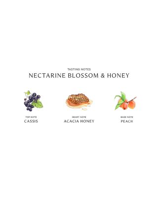 Nectarine Blossom & Honey Body & Hand Wash 8.5 oz.