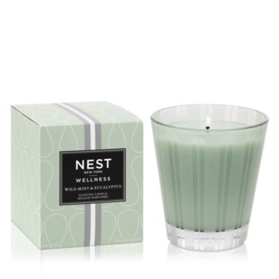 NEST New York - Wild Mint & Eucalyptus Classic Candle