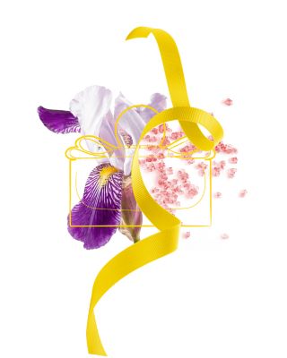 Signorina Libera Eau de Parfum 3.4 oz.