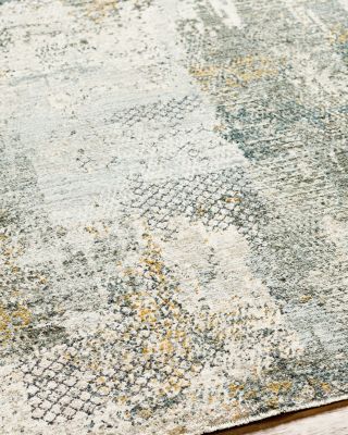 Dresden DRE-2305 Area Rug, 2&#39;7&amp;quot; x 4&#39;
