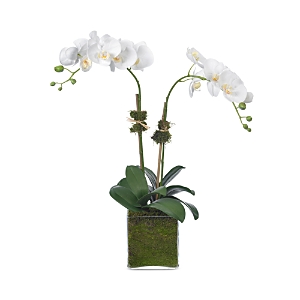 Diane James Home Faux Phalaenopsis Orchid In Glass Vase In White