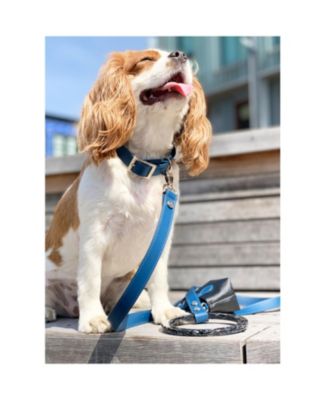 Susan Short Leather Dog Leash with Acrylic Handle