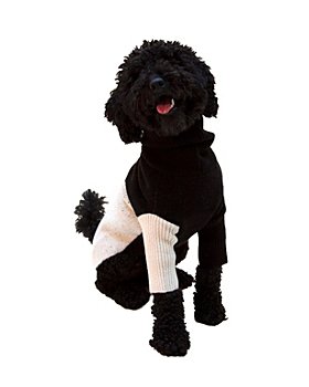 Coco Designer Girl Dog Dress With Bag