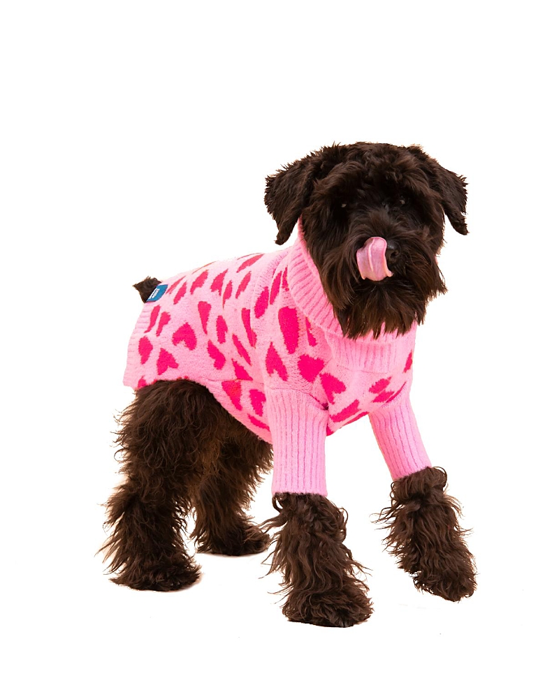 Little Beast the Love Sweater for Dogs