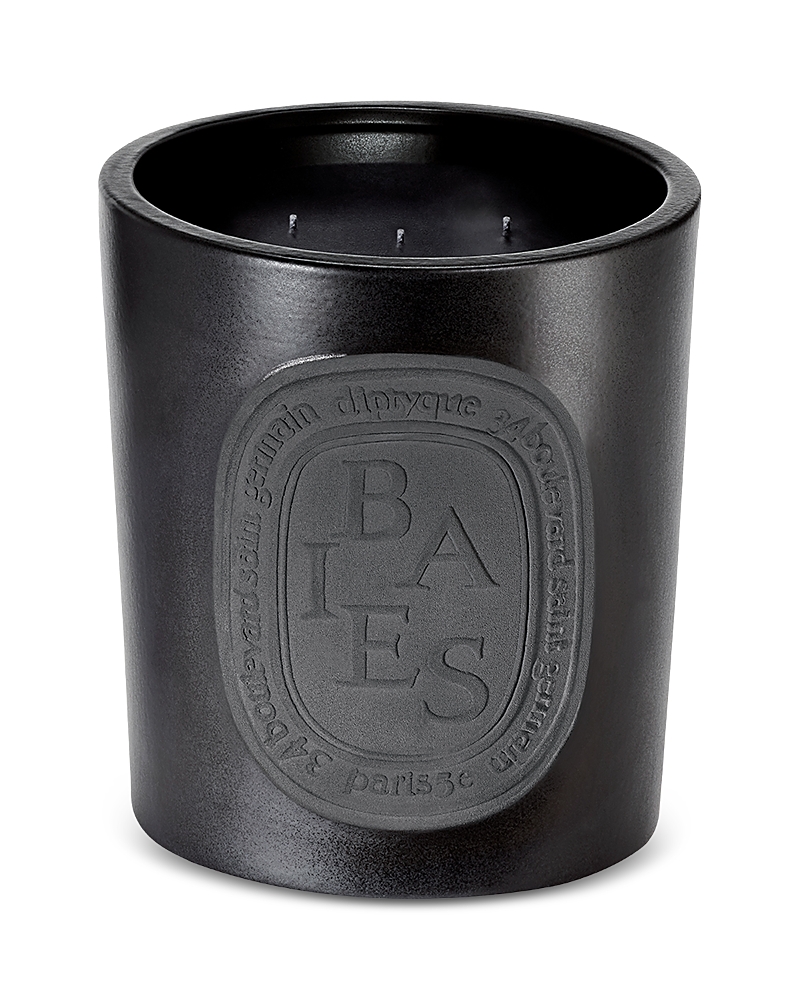 Diptyque Baies Candle Indoor And Outdoor Edition In Multi