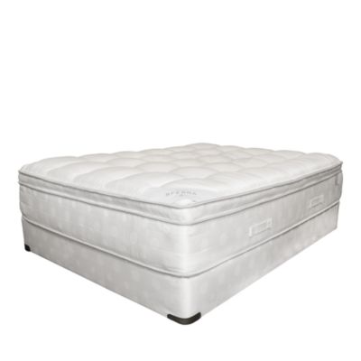 Bienno Plush Pillow Top Mattress  – Exclusive