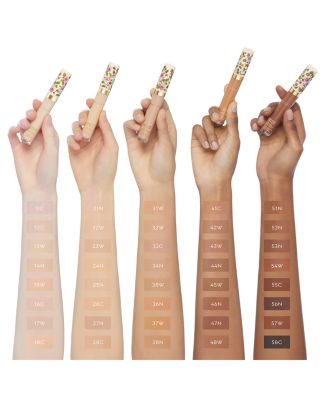 Concentré de Beauté Concealer