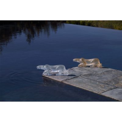 Timbavati Lion, Clear