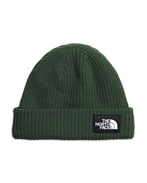 The North Face Salty Lined Beanie In Pine Needle