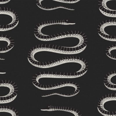 'Finn Dining Chair with Casters