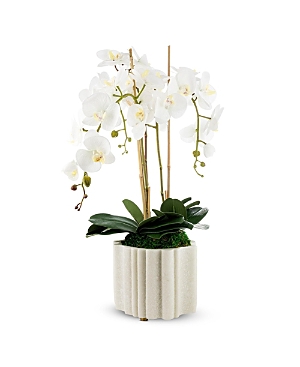Cocobella Castel Marble Orchid In White