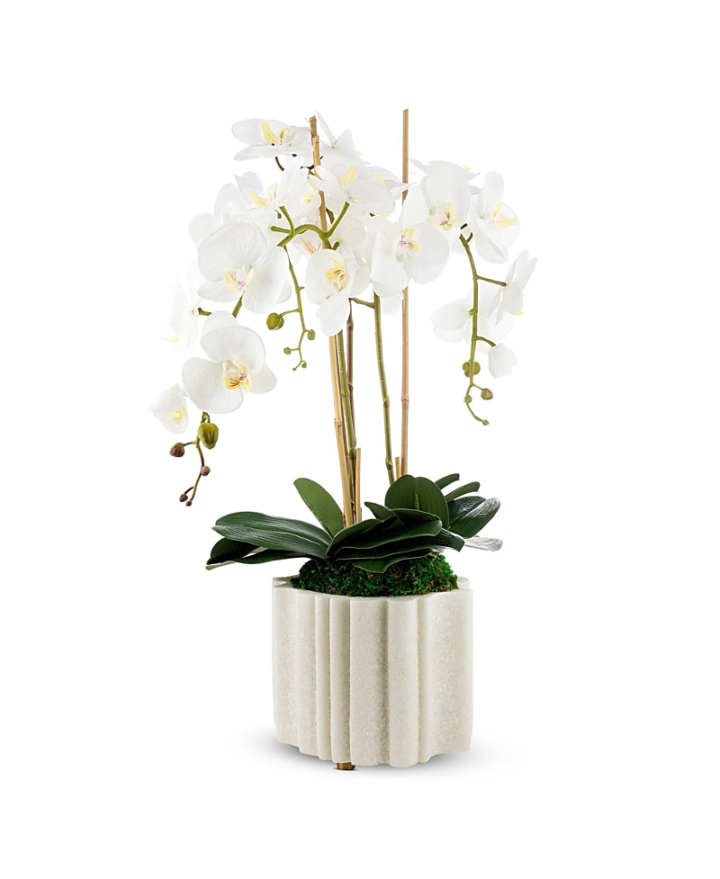 CocoBella Castel Marble Orchid