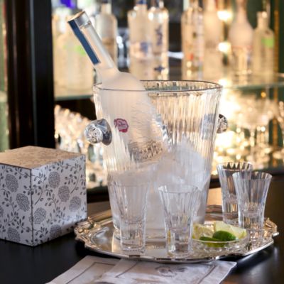 Crystal Corinne Shot Tumblers, Set of 4