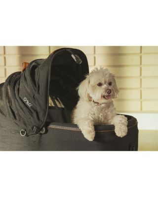 Pets Maeve™ Pet Car Seat, Medium Flex