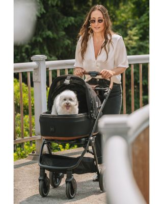 Pets Roscoe™ Stroller Frame for Maeve™ Pet Car Seat