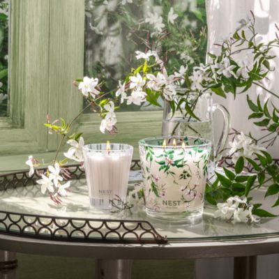 Indian Jasmine Specialty 3-Wick Candle