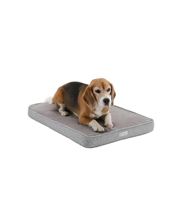 Diggs Medium Snooz Dog Crate Pad Bloomingdale's