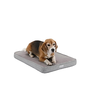 Diggs Medium Snooz Dog Crate Pad In Grey