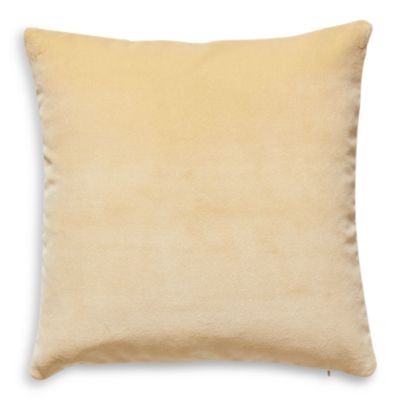Torino Velvet Decorative Pillow, 22" x 22"