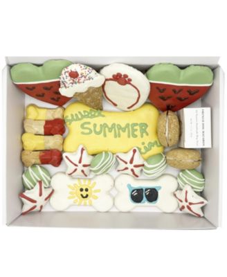 Summer Themed Dog Treats Gift Box