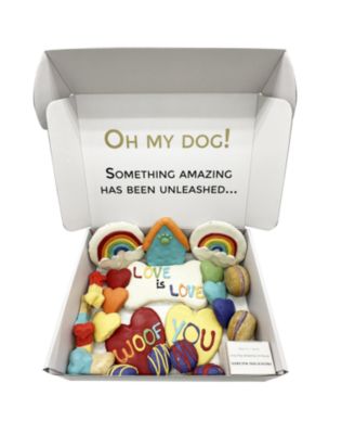 Pride Themed Dog Treats Gift Box