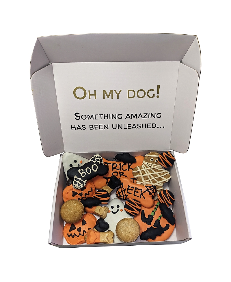 Bonne et Filou Halloween Themed Dog Treats Gift Box