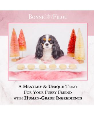 Pumpkin Dog Macarons, 6 Count