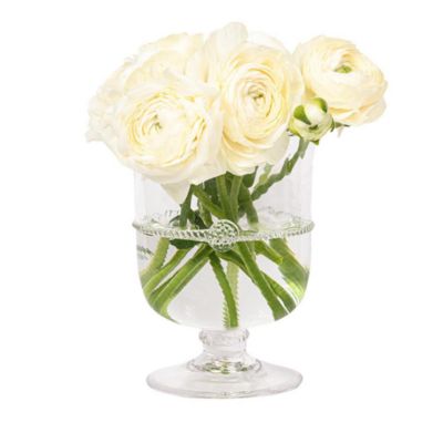 Amalia 5&amp;quot; Hurricane