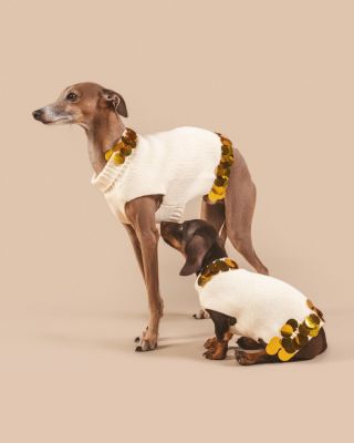  PETITE Cotton Pet Sweater with Gold Paillettes