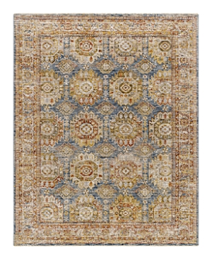 Surya Mona Lisa Mni-2302 Area Rug, 7'10 X 10'3 In Rust/denim