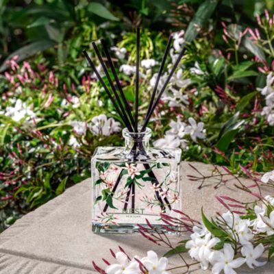 Indian Jasmine Specialty Reed Diffuser, 5.9 oz.