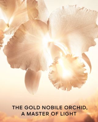 Orchid&eacute;e Imp&eacute;riale Gold Nobile The Cream 1.7 oz.