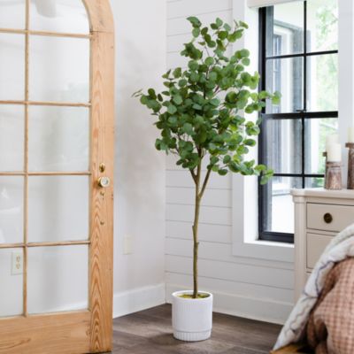 6ft. Artificial Eucalyptus Tree with White Decorative Planter