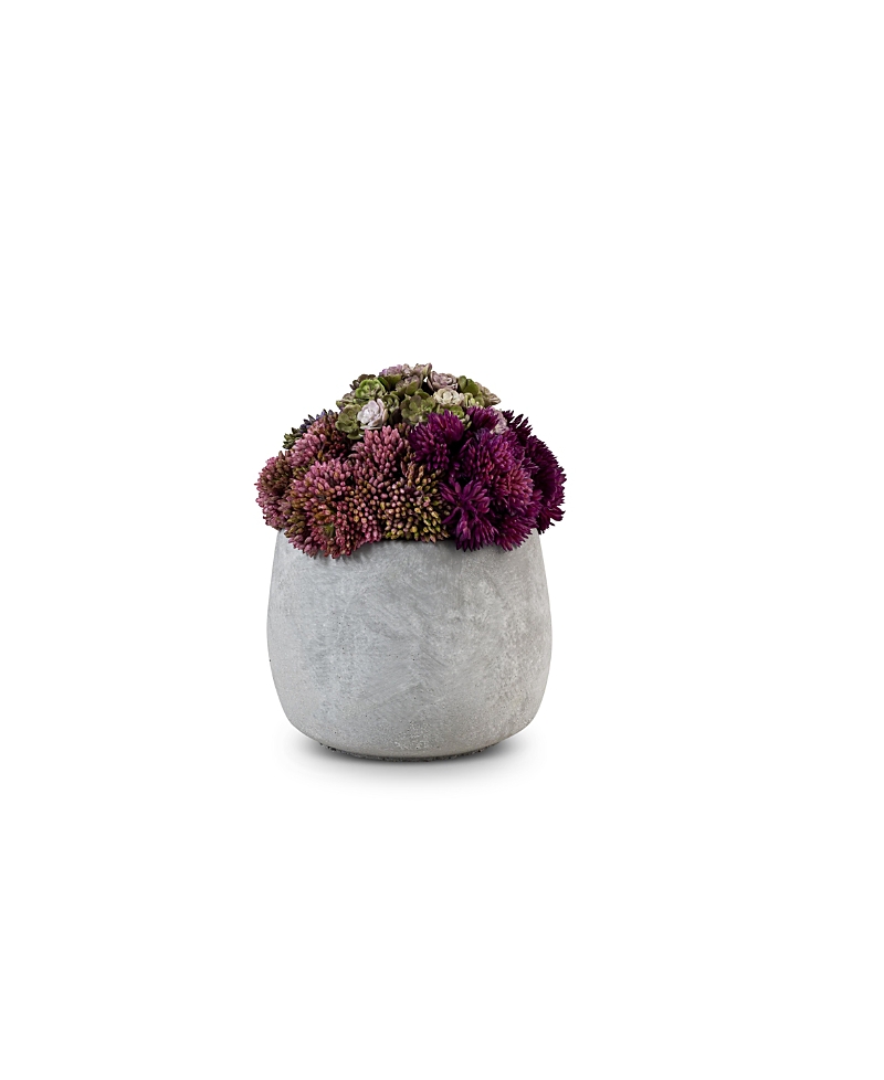 Bailey Ceramic Sedum Arrangement