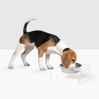 Clear Single Pet Bowl Feeder