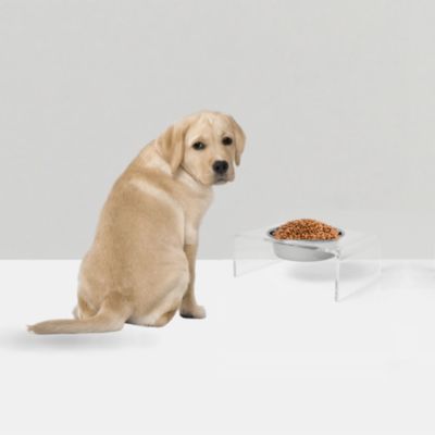 Clear Single Pet Bowl Feeder