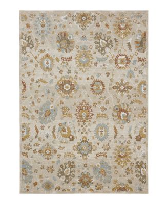 Karastan Windermere Whitehaven Area Rug, 10' x 14'