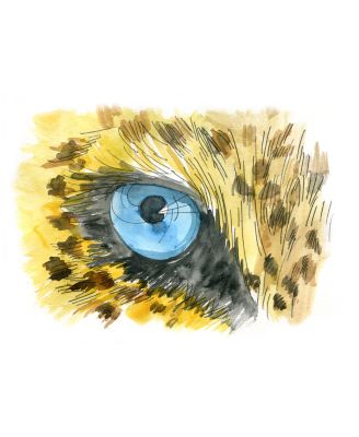 African Leather Eau de Parfum 2.5 oz.