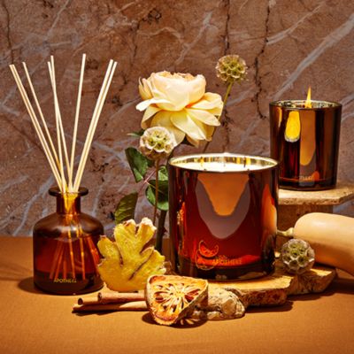 APOTHEKE - Pumpkin Ginger Home Fragrance Collection