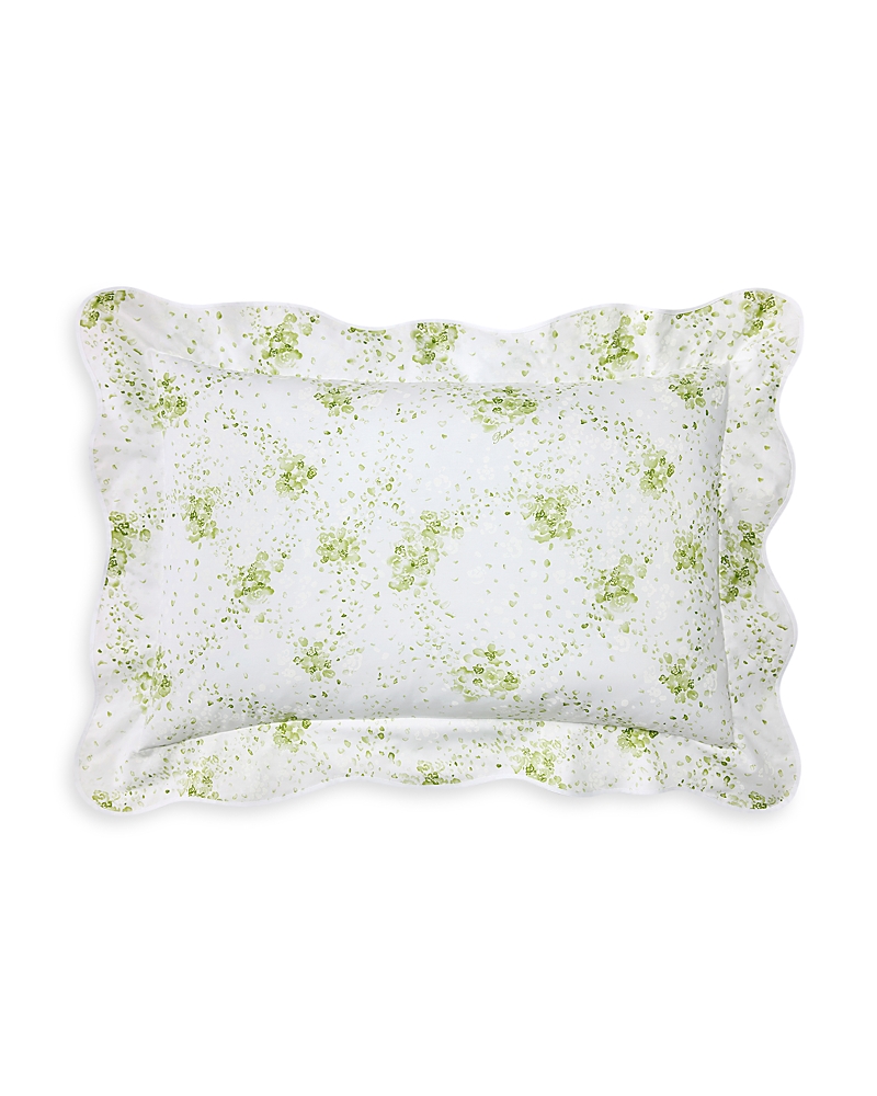 Pratesi M'ama Non M'ama Standard Sham In Fern