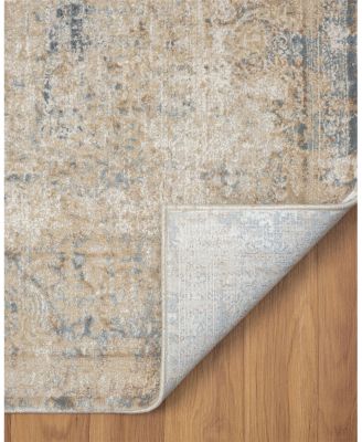 LR Home Cheshire CHESH-82318 Area Rug, 4' x 6'