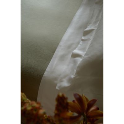 Rays Bedding Collection