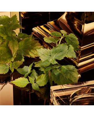 The One for Men Gold Eau de Parfum Intense 3.3 oz.