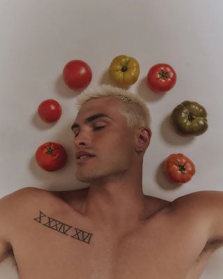 Roma Heirloom Tomato Soap Brick 12 oz.