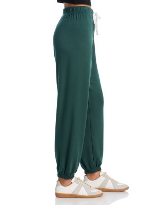 Andie Drawstring Sweatpants