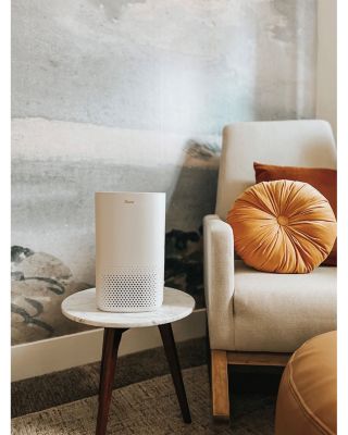 Crane Air Purifier with True HEPA Filter, UV Light, 250 Sq Feet Coverage, Timer Function, Sleep Mode, Washable Particle Filter, EE-5067