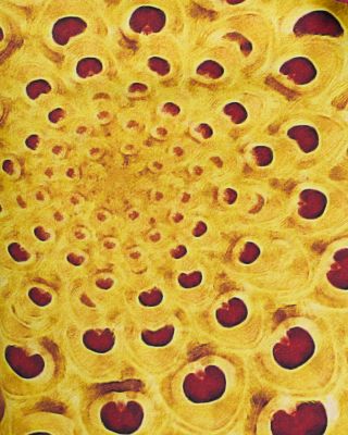 Amenadiel Printed Dress - Exclusive