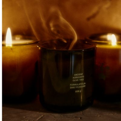  Agrigento Olive Tree Candle 8 oz.