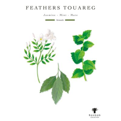 Totem Feathers Touareg Luxury Medium Bottle Diffuser, 67.6 oz.