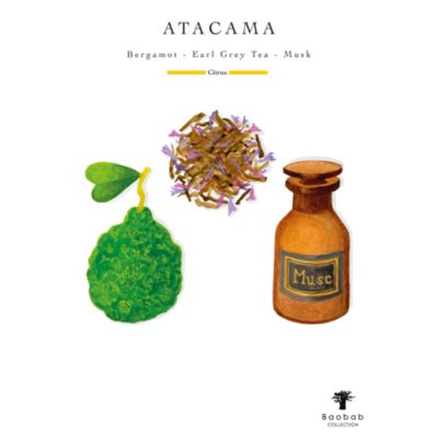 Totem Sand Atacama Luxury Mini Bottle Diffuser, 8.45 oz.